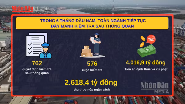 [Video] Kiểm tra sau thông quan, Hải quan thu hơn 2.600 tỷ đồng