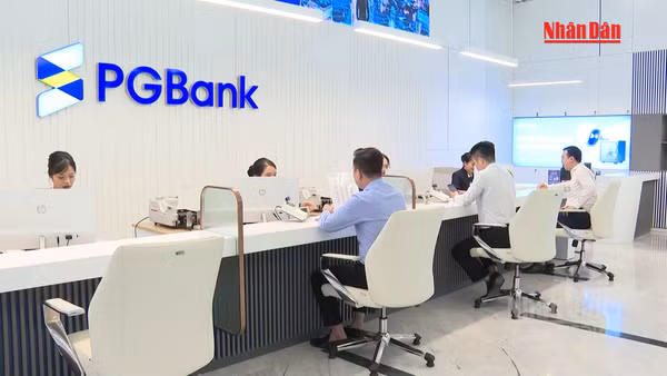 [Video] Chính phủ yêu cầu chấm dứt cho vay tập trung vào doanh nghiệp “sân sau”