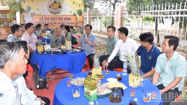 Một buổi cà-phê khóm ở xã Hưng Thạnh (tỉnh Đồng Tháp).