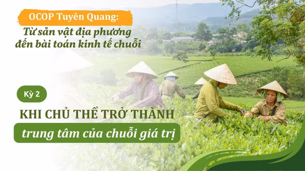 Khi chủ thể trở thành trung tâm của chuỗi giá trị