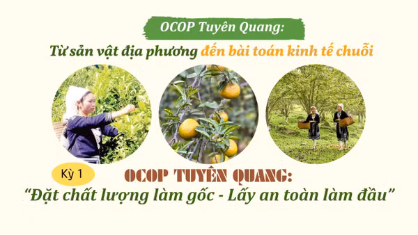 OCOP Tuyên Quang: “Đặt chất lượng làm gốc - Lấy an toàn làm đầu"