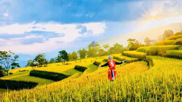 Hồng Thái - “nàng thơ vùng cao” và lựa chọn phía trước