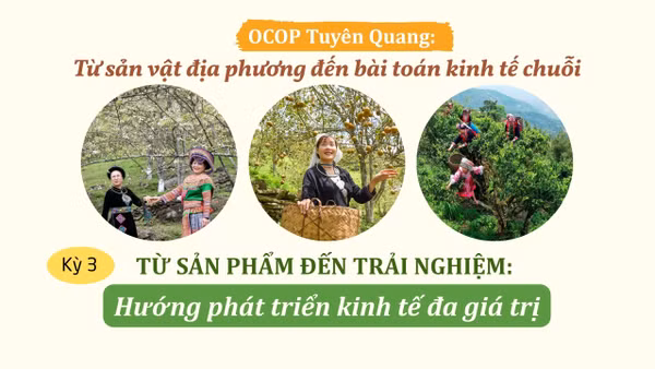 Từ sản phẩm đến trải nghiệm: Hướng phát triển kinh tế đa giá trị
