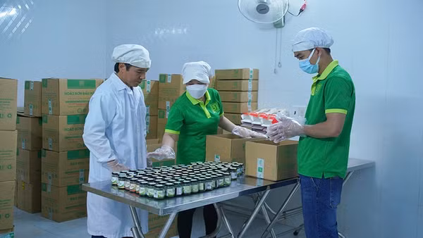 Giám sát một lô sản phẩm hồ tiêu trước khi đóng gói ở Hợp tác xã Bàu Mây. (Ảnh: Cộng tác viên)