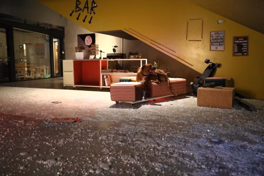 2.jpg