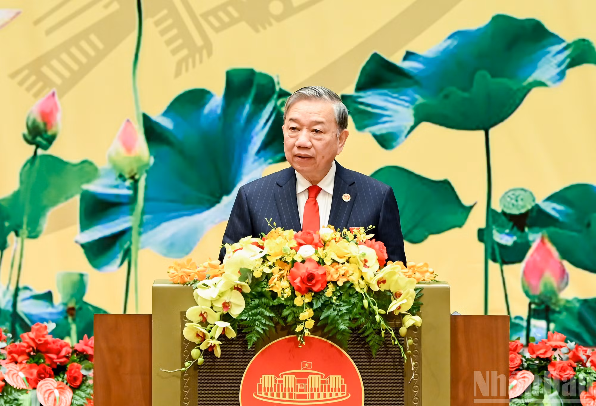 ndo_br_bnd-3172.jpg