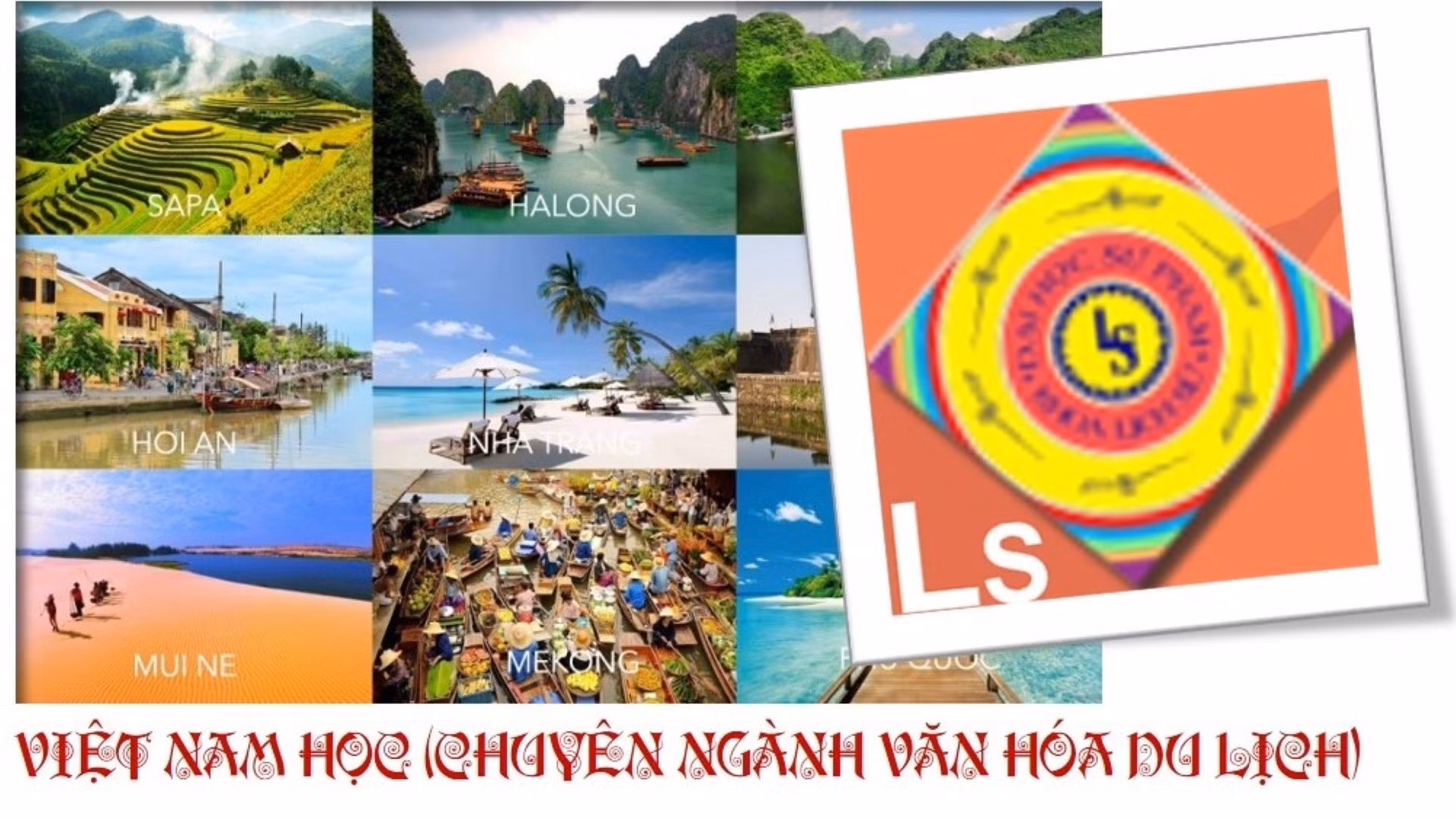 vnh4.jpg