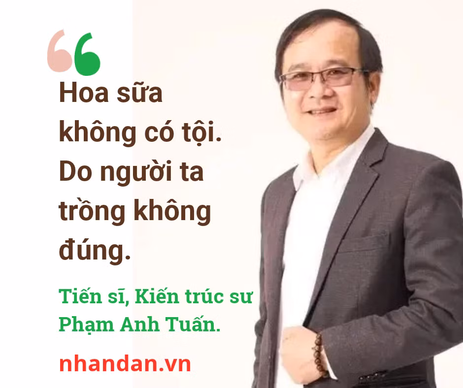 quotektstuan.png