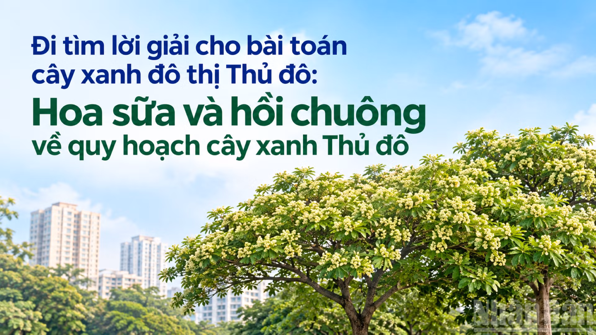 "Hoa sữa không có tội, do người trồng không đúng". (Ảnh có yếu tố AI)