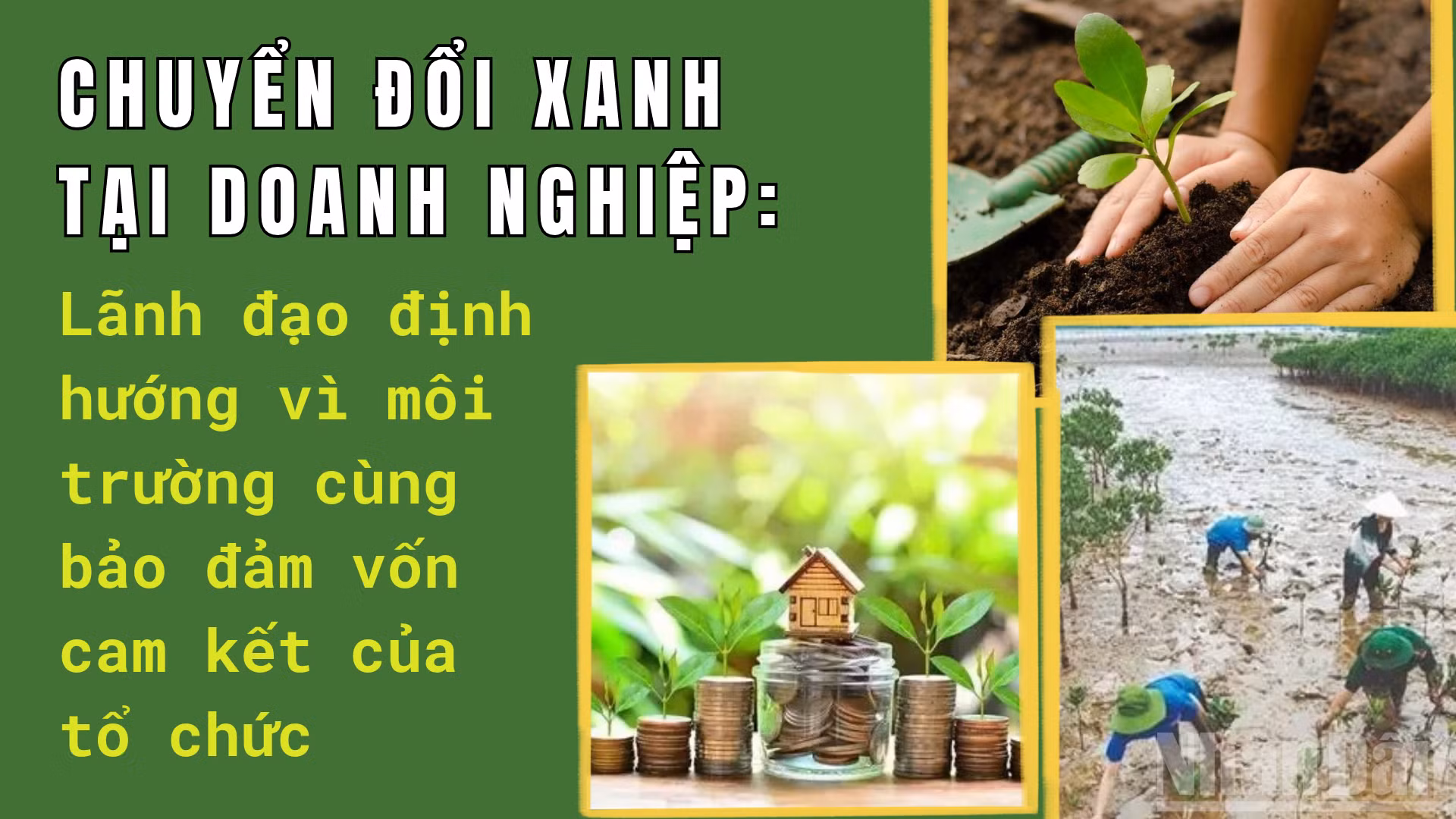 Khi lãnh đạo doanh nghiệp phụng sự môi trường, sự phát triển sẽ đạt hiệu quả bền vững. (Ảnh: HNV)