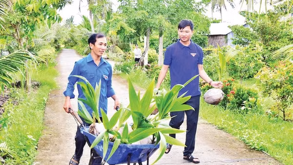 Anh Lê Trọng Đáng (bên trái), nguyên Bí thư Chi đoàn ấp Xẻo Lá B, xã Tân Thạnh với mô hình trồng dừa.