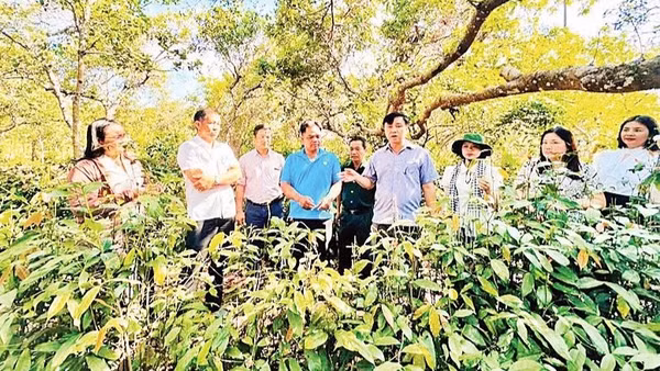 Lãnh đạo xã Bom Bo thăm vùng nguyên liệu phục vụ du lịch ẩm thực.