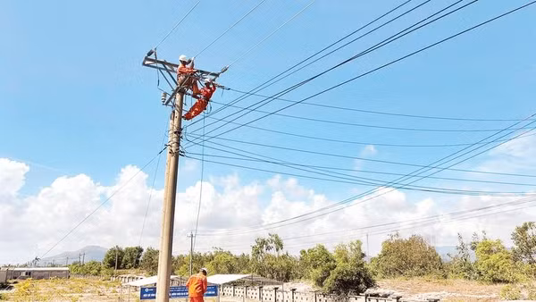 Công ty Điện lực Đắk Lắk diễn tập phương án phòng, chống thiên tai năm 2026 (Ảnh NGUYỄN NGỌC)