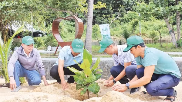 Các bên liên quan tham gia trồng cây bàng vuông tại xã đảo Tân Hiệp, thành phố Đà Nẵng.