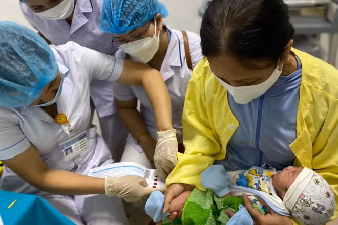 Lấy máu gót chân sàng lọc cho trẻ sơ sinh tại Trung tâm Sàng lọc-Chẩn đoán trước sinh và Sơ sinh, Bệnh viện Trường Đại học Y Dược Huế.