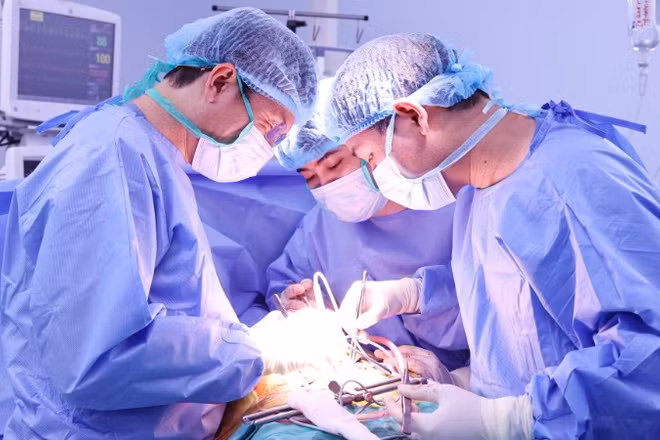Các bác sĩ triển khai một ca ghép tạng. 