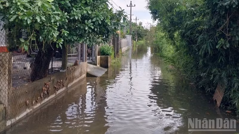 Một số nơi thuộc xã Đan Điền đến sáng nay đã bị ngập nhẹ.