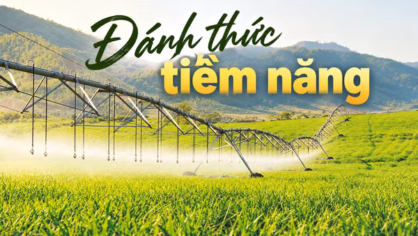 Đánh thức tiềm năng