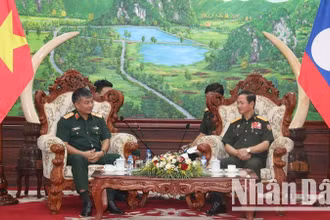 Thứ trưởng Quốc phòng Nguyễn Văn Hiền chào xã giao Bộ trưởng Quốc phòng Lào. (Ảnh: HẢI TIẾN)