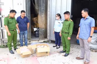Thực phẩm động vật đông lạnh không có hóa đơn, chứng từ chứng minh nguồn gốc xuất xứ hợp pháp được phát hiện.