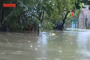 [Video] Tăng cường phòng, chống dịch bệnh trong và sau lụt bão, mưa lũ