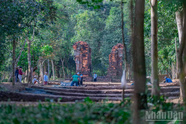 Toàn cảnh khu vực "con đường thiêng" vừa phát lộ tại Thánh địa Mỹ Sơn.
