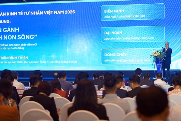 Phó Giáo sư, Tiến sĩ Trần Đình Thiện, thành viên Hội đồng tư vấn chính sách Tài chính-tiền tệ quốc gia, tham luận tại phiên làm việc. (Ảnh: Trung ương Hội Doanh nhân trẻ Việt Nam cung cấp)