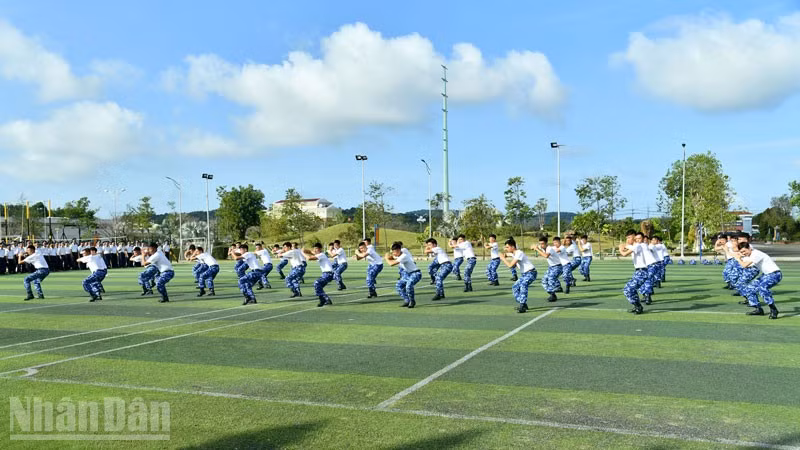 ndo_bl_7.jpg
