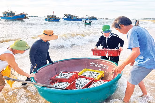 Những chuyến tàu đầy ắp cá tôm được chuyển vào đất liền.