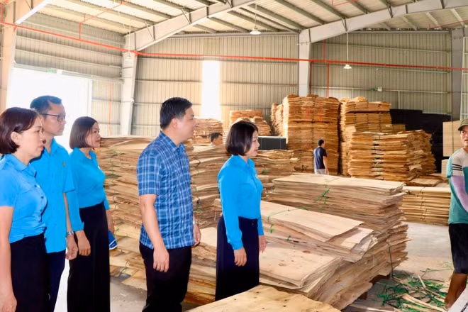 Liên đoàn Lao động tỉnh khảo sát, nắm tình hình tại Công ty TNHH Vietforest Bắc Kạn. (Ảnh: THU HUỆ).