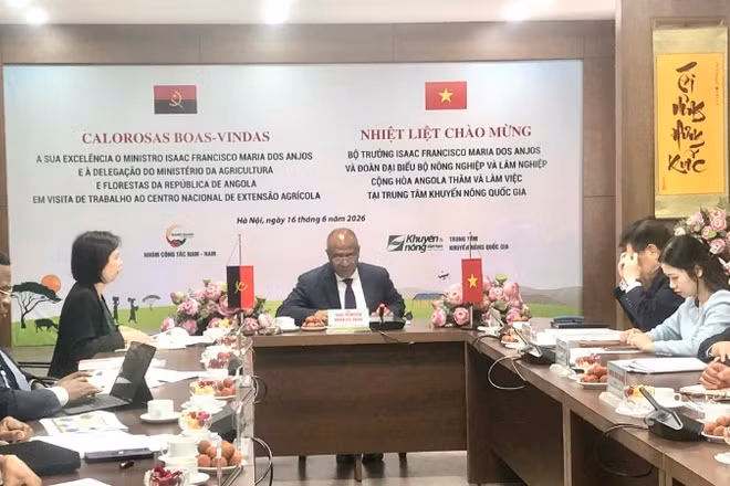 Quang cảnh buổi làm việc.