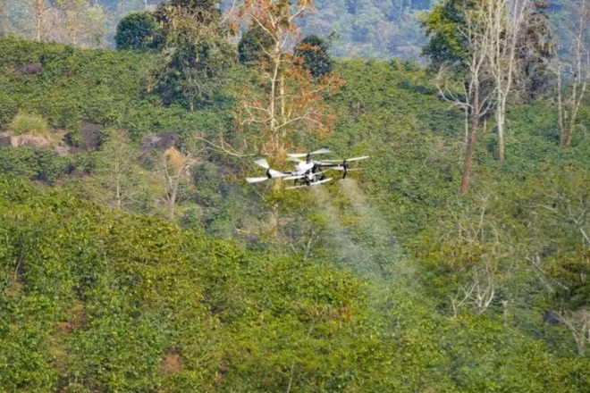 UAV được thử nghiệm phun thuốc cho cây cà-phê tại xã Mường Ảng, tỉnh Điện Biên.