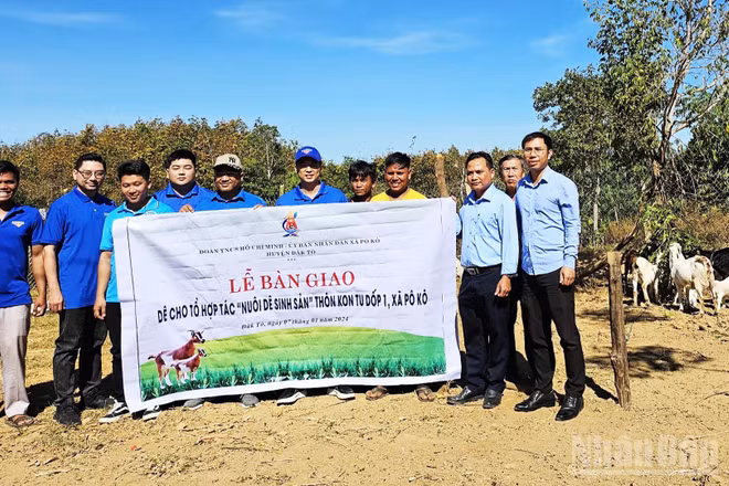 Thành lập Tổ hợp tác thanh niên Nuôi dê sinh sản thôn Kon Tu Dốp 1.