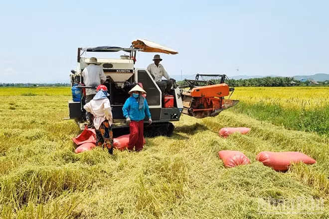 Nước tưới tiêu đến tận ruộng đồng giúp người dân có những mùa bội thu.