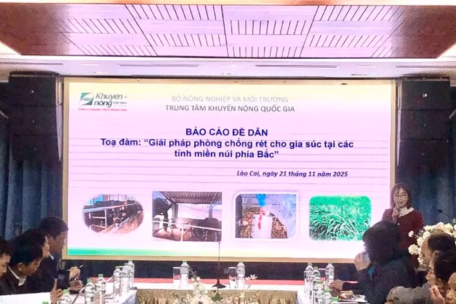 Quang cảnh tọa đàm.