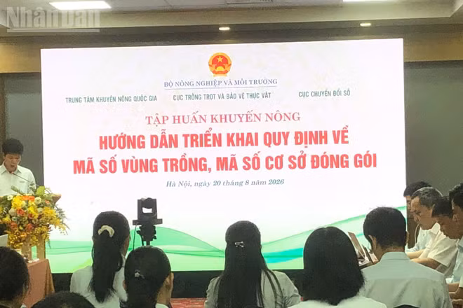 Quang cảnh buổi tập huấn.