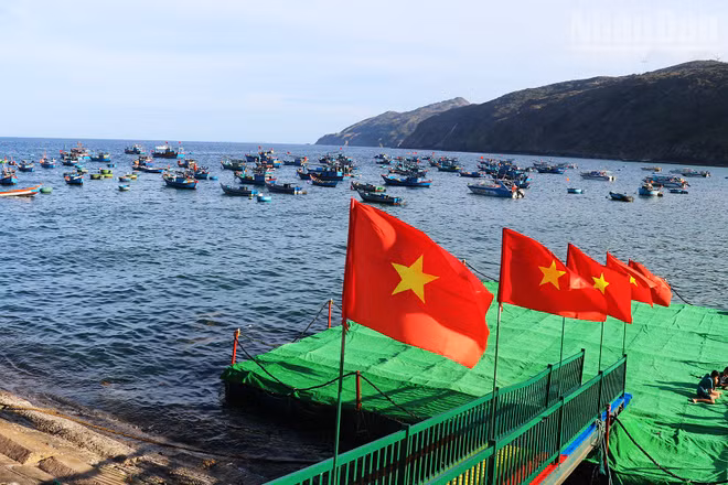 Cảng cá Nhơn Lý được tỉnh Gia Lai chọn là điểm nhấn của vùng trọng điểm du lịch biển.