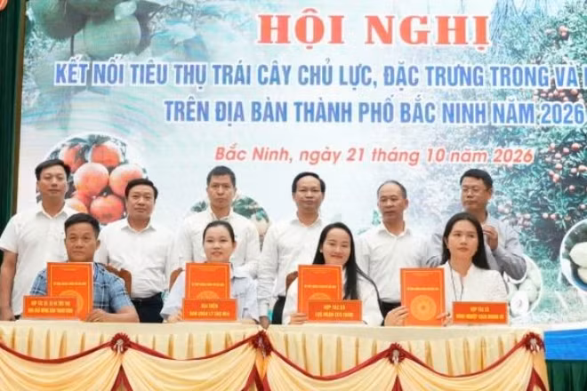 Các đơn vị ký kết tiêu thụ trái cây vụ mùa 2026 tại hội nghị. (Ảnh: ĐT)