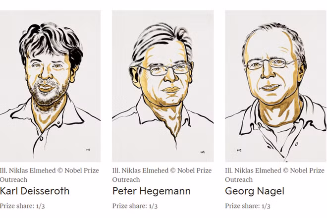 Chân dung bộ ba nhà khoa học đoạt giải Nobel Y sinh năm 2026. (Ảnh: Nobelprize.org)