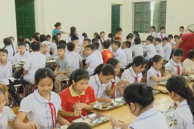 [Video] TP Hồ Chí Minh: Rà soát toàn diện việc tổ chức, cung cấp bữa ăn học đường