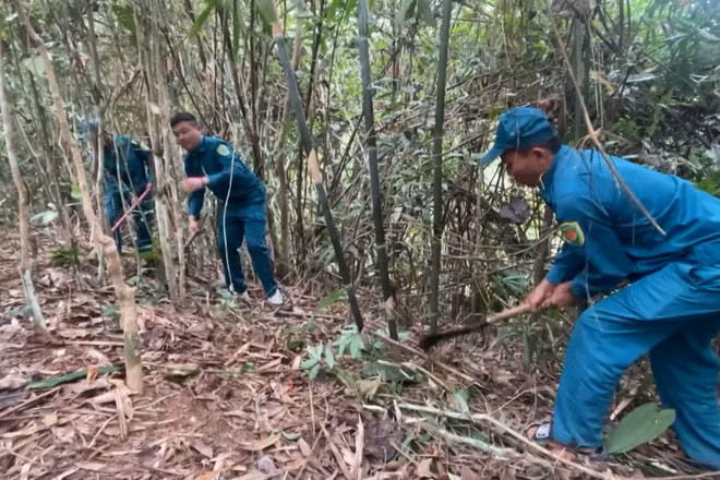 [Video] Nhiều địa phương bước vào mùa “phòng, chống cháy rừng”