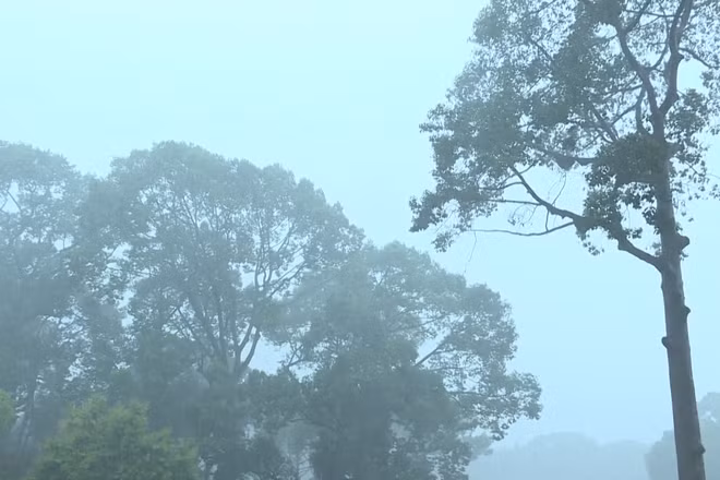 [Video] Biển Đông có thể đón bão số 5 trong dịp Quốc khánh, 7 tỉnh miền Bắc mưa lớn