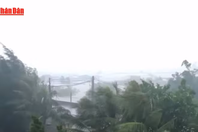 [Video] Chủ động ứng phó mưa lớn, rét đậm, rét hại và gió mạnh trên biển