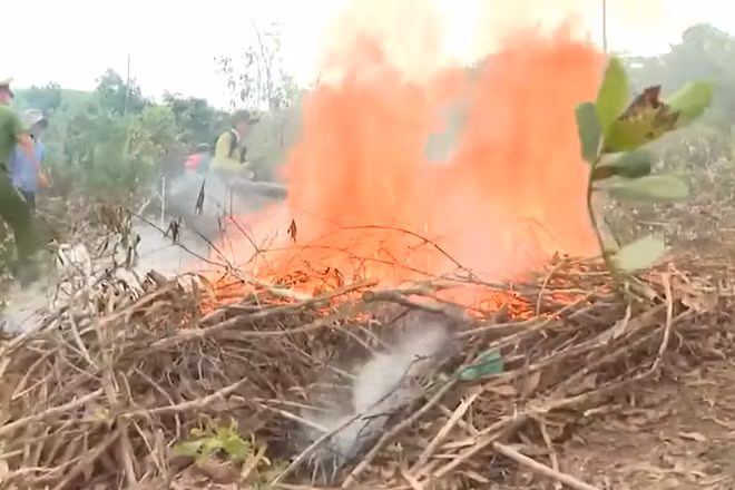 [Video] Cảnh báo nguy cơ cao xảy ra cháy rừng trong tháng 4/2026