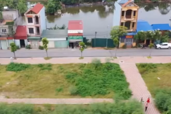 [Video] Điều chỉnh giảm hơn 1,1 triệu hecta đất nông nghiệp