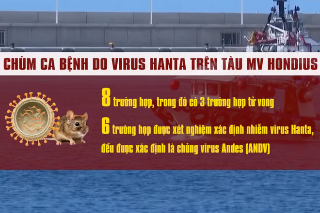 [Video] Bộ Y tế thông tin về chủng virus Hanta đang được WHO cảnh báo