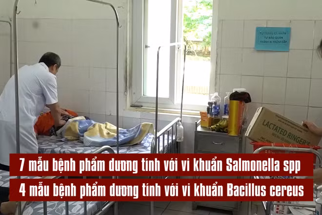 [Video] Phát hiện vi khuẩn Salmonella và Bacillus trong vụ ngộ độc bánh mì ở Quảng Trị