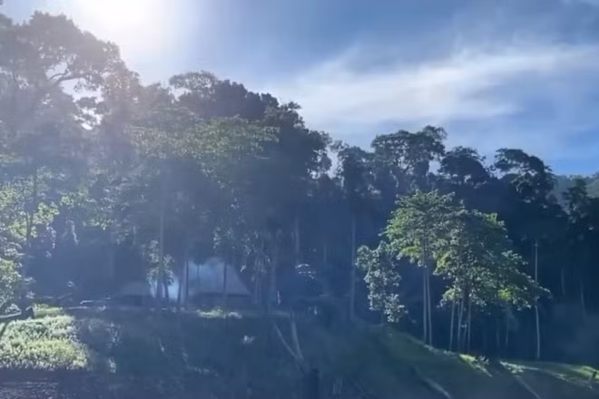 [Video] Sàn giao dịch carbon trong nước sẽ khai trương vào ngày 29/6