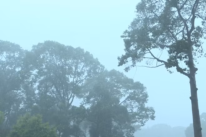 [Video] Không khí lạnh sẽ gây mưa lớn cho miền Bắc