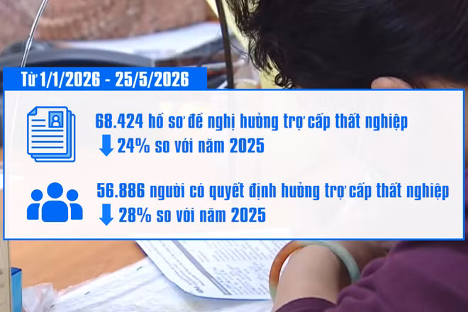 [Video] TP Hồ Chí Minh: Hồ sơ hưởng trợ cấp thất nghiệp giảm hơn 24% trong 5 tháng đầu năm
